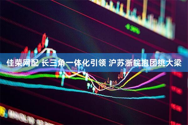 佳荣网配 长三角一体化引领 沪苏浙皖抱团挑大梁