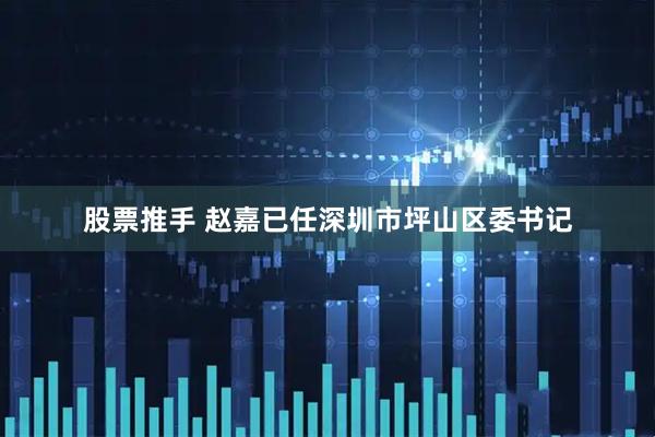 股票推手 赵嘉已任深圳市坪山区委书记
