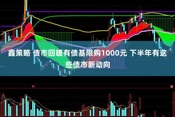 鑫策略 债市回暖有债基限购1000元 下半年有这些债市新动向