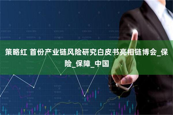策略红 首份产业链风险研究白皮书亮相链博会_保险_保障_中国